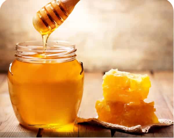 تصویر 2 از خرید و قیمت عسل انگبین هانیوا + فروش عمده